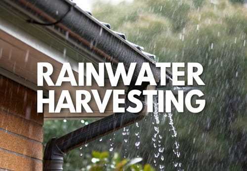 Rainwater Harvesting: Benefits for Indian Homes