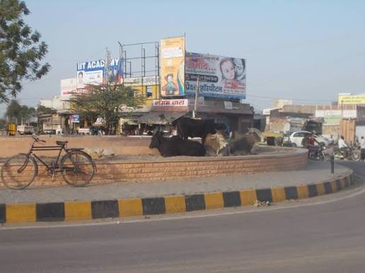 Jhalamand Circle, Jodhpur: Location, Direction & Connectivity