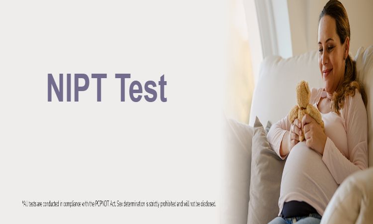 Can NIPT Detect Twins or Multiple Pregnancies?