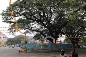 Nanjappa Circle, Bengaluru: Location, Direction & Connectivity