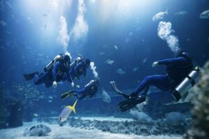 Top 10 Scuba Diving Destinations in India